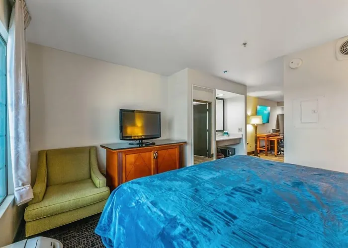 Metro Extended - King Apartment